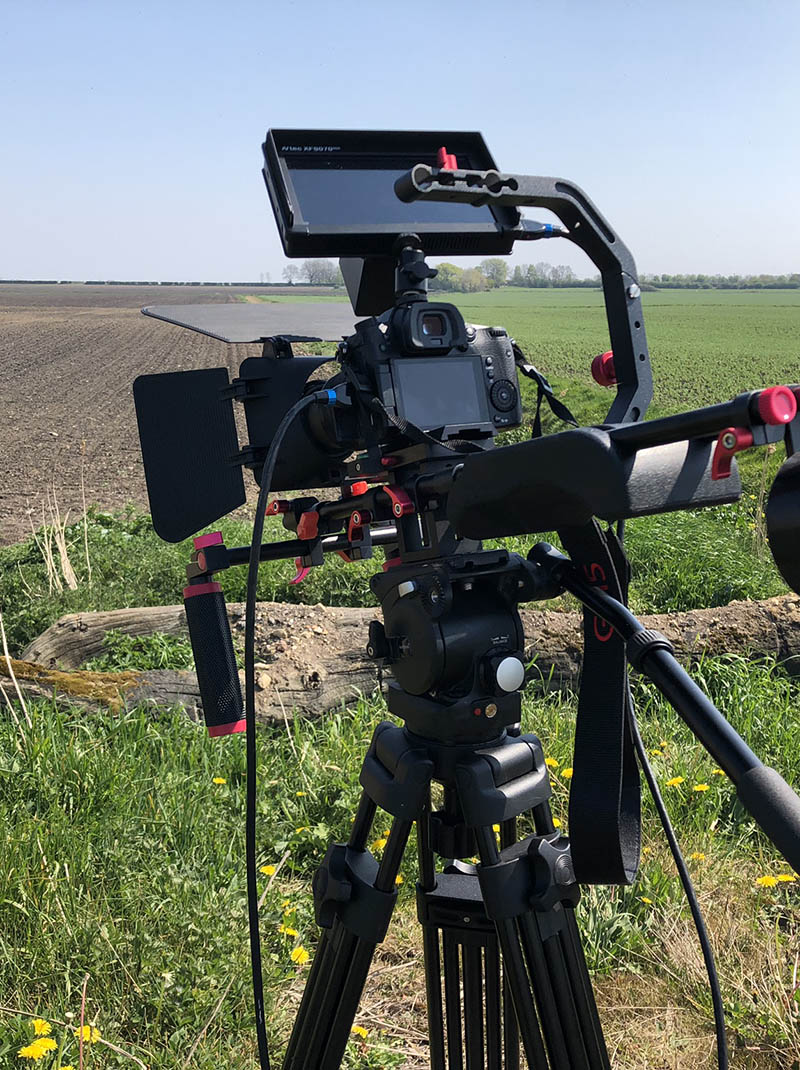 in a field